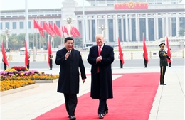 Tại sao Trung Quốc có thể thắng trong cuộc chiến thương mại với Mỹ thời Trump?