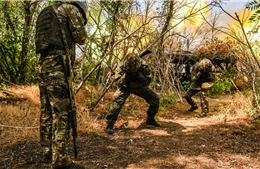 Đề xuất vùng đệm Nga - Ukraine từ châu Âu: Giải pháp hòa bình hay rủi ro mới?