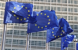EU lần đầu tiên trong 20 năm thặng dư thương mại với Nga 