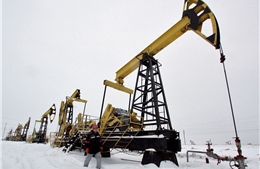 Thay đổi lớn trên bản đồ năng lượng thế giới sau khi Tổng thống Trump trừng phạt dầu Nga