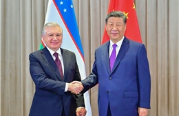 Uzbekistan tìm cách cân bằng hợp tác năng lượng hạt nhân với Nga và Trung Quốc