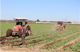 Cuộc cạnh tranh khoáng sản quan trọng mới tiếp theo trên toàn cầu