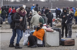 Làn sóng người Ukraine đổ vào EU tăng vọt