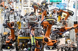 Lý do các công ty Đức không thể rời khỏi Trung Quốc