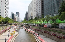 Bên trong nỗ lực hồi sinh những dòng sông ô nhiễm nhất thế giới