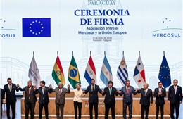 Thỏa thuận với Mercosur phơi bày rạn nứt nội bộ sâu sắc của EU