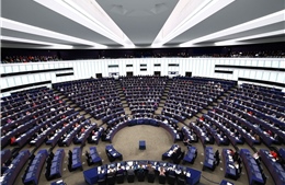 Những cuộc bầu cử sẽ làm châu Âu chao đảo năm 2026