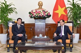 Bộ trưởng Ngoại giao Bùi Thanh Sơn tiếp nguyên Đại sứ đặc biệt Nhật Bản - Việt Nam