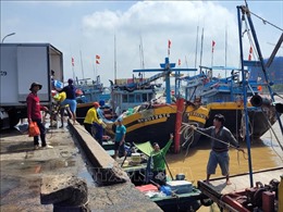 Thêm một cảng cá ở Bà Rịa - Vũng Tàu bị ra khỏi danh sách cảng chỉ định