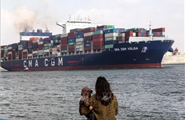 WTO: Lượng lúa mì vận chuyển qua Kênh đào Suez giảm gần 40% 