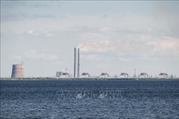 IAEA quan ngại về mức độ an toàn của nhà máy điện hạt nhân Zaporizhzhia