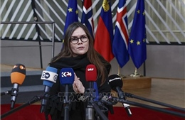 Thủ tướng Iceland từ chức để tranh cử Tổng thống