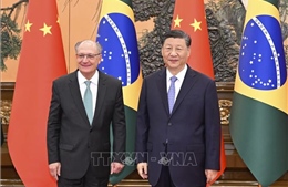 Trung Quốc và Brazil thúc đẩy quan hệ hợp tác chiến lược