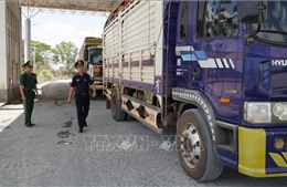 Hải quan hỏa tốc yêu cầu toàn ngành trực 24/7 thông quan thực phẩm nhập khẩu 