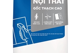Saint-Gobain Việt Nam giới thiệu vữa tô nội thất gốc thạch cao Vĩnh Tường