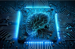 Nghiên cứu hợp nhất tế bào não người với AI, thiết lập &#39;khả năng học tập liên tục suốt đời&#39;