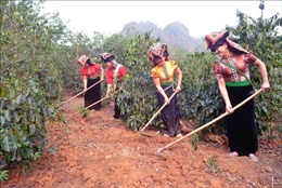 Huyện miền núi Sơn La đẩy mạnh Chương trình mục tiêu quốc gia  phát triển kinh tế - xã hội vùng đồng bào dân tộc thiểu số và miền núi