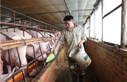 Bắc Ninh tháo gỡ khó khăn, vướng mắc trong sản xuất nông nghiệp