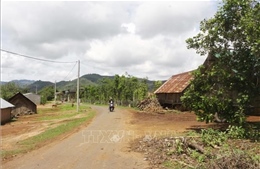 Đắk Lắk: Hơn 659 tỷ đồng phát triển kinh tế-xã hội vùng đồng bào dân tộc thiểu số và miền núi 