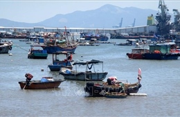 Thanh Hóa phát triển y tế biển, đảo tỉnh Thanh Hóa đến năm 2030