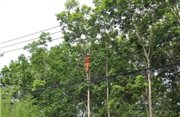 PC Quảng Ngãi: Khẩn trương chuẩn bị ứng phó với bão số 13 Kalmaegi