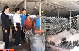 Đồng hành cùng người dân trên hành trình giảm nghèo bền vững