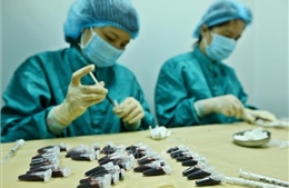 Việt Nam sẽ thử nghiệm giai đoạn 1 vắc xin COVID-19 trên những người tự nguyện hoàn toàn 