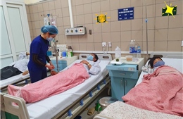 Ăn phải nấm cực độc, một gia đình ở Sơn La phải nhập viện cấp cứu