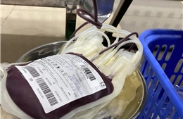 Kho máu dự trữ đủ phục vụ cấp cứu và điều trị trong dịp Tết 