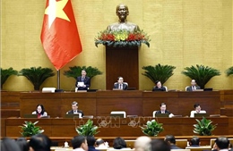 Ngày 29/11: Quốc hội sẽ biểu quyết thông qua nhiều dự án Luật quan trọng