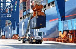 Nổi bật tuần qua: Hội nghị Ban Chấp hành Trung ương Đảng lần thứ 11, khóa XIII; Việt Nam sẵn sàng đàm phán thương mại đối ứng với Hoa Kỳ