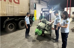 Phát hiện hơn 12 tấn chân gà đã bốc mùi hôi thối tại Quảng Ninh