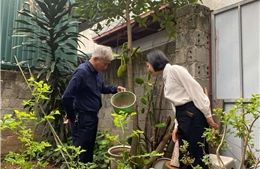 Hà Nội: Số ca mắc sởi vẫn cao, cảnh giác với dịch sốt xuất huyết