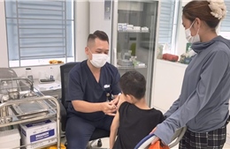 Dịp hè, nhiều trẻ bị chó cắn nguy hiểm 