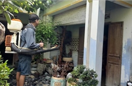 Chikungunya không phải bệnh lạ, những ai dễ mắc và bị nặng?