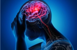 Sốt cao, đau đầu, gáy cứng, bệnh nhân đái tháo đường mắc viêm màng não nguy kịch