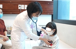 Hà Nội tập trung xử lý nhiều dịch bệnh, không để bùng phát trong dịp Tết