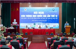 Bệnh do côn trùng gây ra vẫn đang là vấn nạn rất lớn