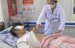 Điều tra, xử lý vụ 9 người ngộ độc sau khi ăn ve sầu ở Quảng Trị