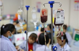 Ngày Thalassemia Thế giới (8/5): Nhiều người mang gen bệnh mà không biết