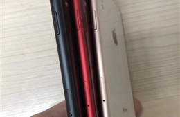 Rò rỉ ảnh thực tế iPhone 9 với nhiều màu sắc bất ngờ