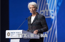 IMF hối thúc phát triển giải pháp đa phương cho thương mại toàn cầu