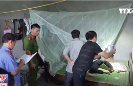 Truy bắt nhanh đối tượng giết người tại Lào Cai
