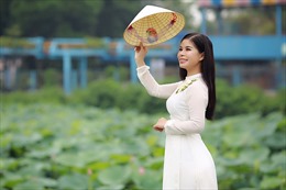 Sao mai Linh Hoa hát nhạc Nguyễn Tài Tuệ