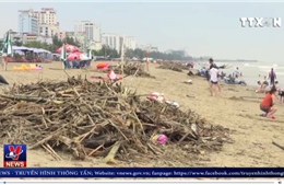 Củi, rác bủa vây bãi biển Sầm Sơn