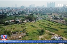 Nhộn nhịp rao bán đất nông nghiệp ở quận Thanh Xuân (Hà Nội)