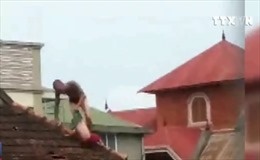 Nghệ An: Bắt đối tượng ngáo đá thả cháu bé 1 tuổi  từ mái nhà xuống đất