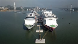Hai tàu 5 sao mang gần 8.000 du khách cập Cảng tàu khách du lịch quốc tế Hạ Long