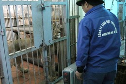 Vườn thú Hà Nội đốt lửa, lắp máy sưởi chống rét cho thú quý