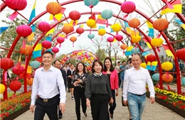 Lễ hội hoa xuân Sun World Halong Complex: Điểm nhất định phải đến dịp đầu năm mới
